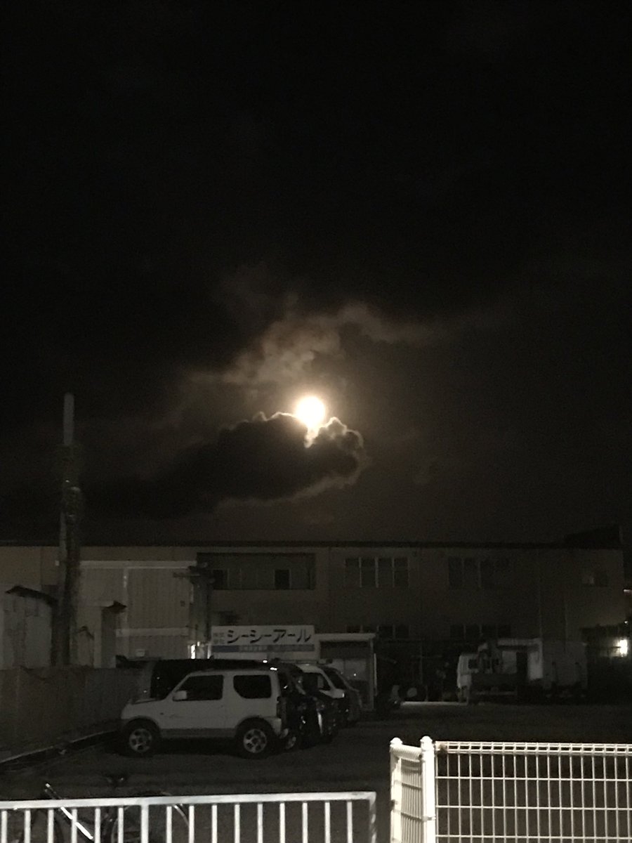 まだまだ月が🌙キレイねぇ😌✨