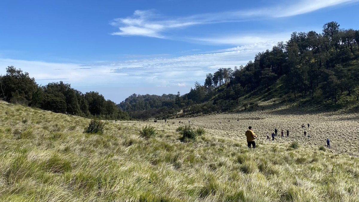 colourednightz's tweet photo. hiked 23km up and down mt. lawu last weekend :) https://t.co/xeF286HTDO