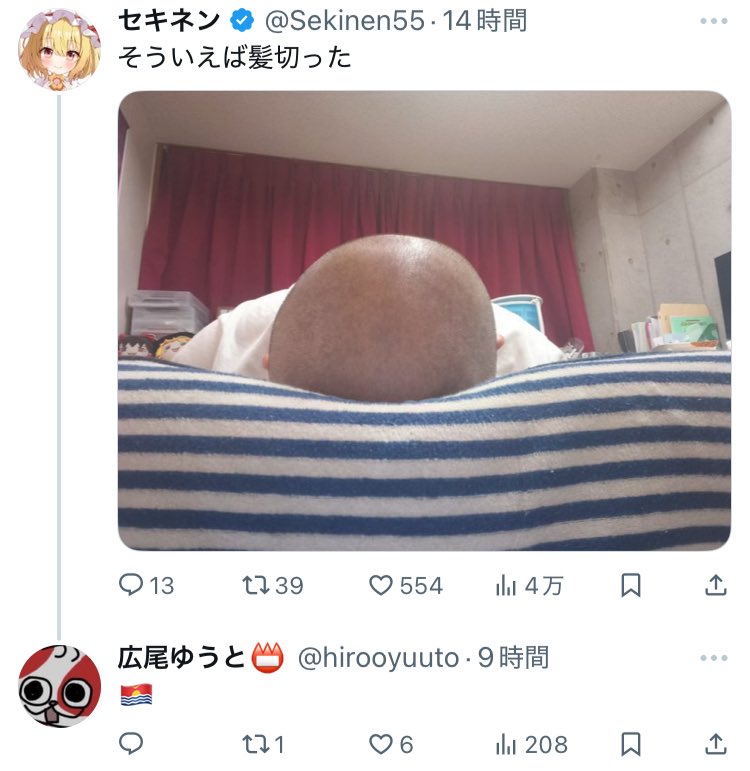 新視点bot (@view_of_new) on Twitter photo 