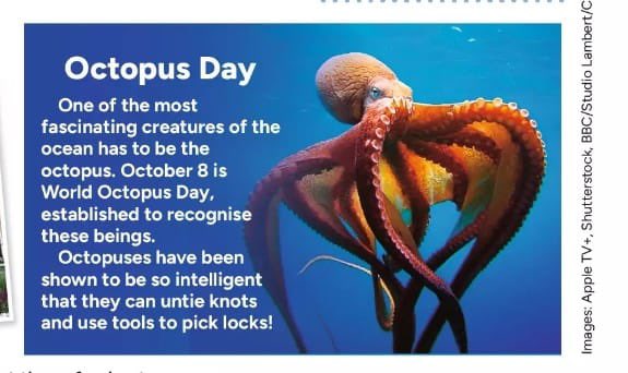 It’s the 8th day of the 8th month of the old Roman calendar which can mean only one thing … it’s #worldoctopusday 🐙8️⃣🗓️