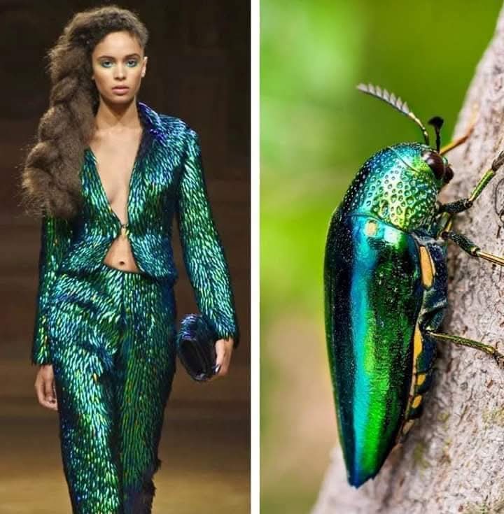 (Cianci Ulises) (@cianciulises) on Twitter photo 