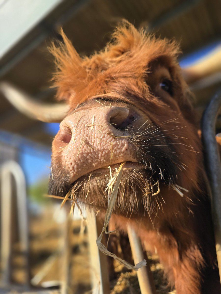 Brian moody Thompson tweet media