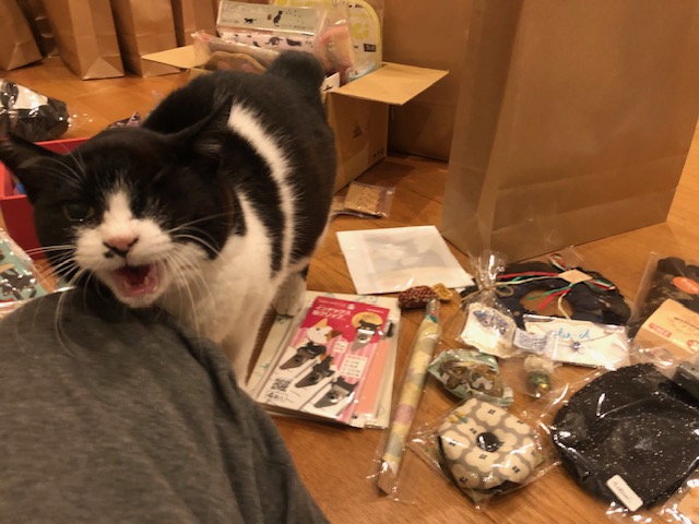 ニャン太 Amazon | [Wanghong] スニーカー 猫柄 ズックシューズ