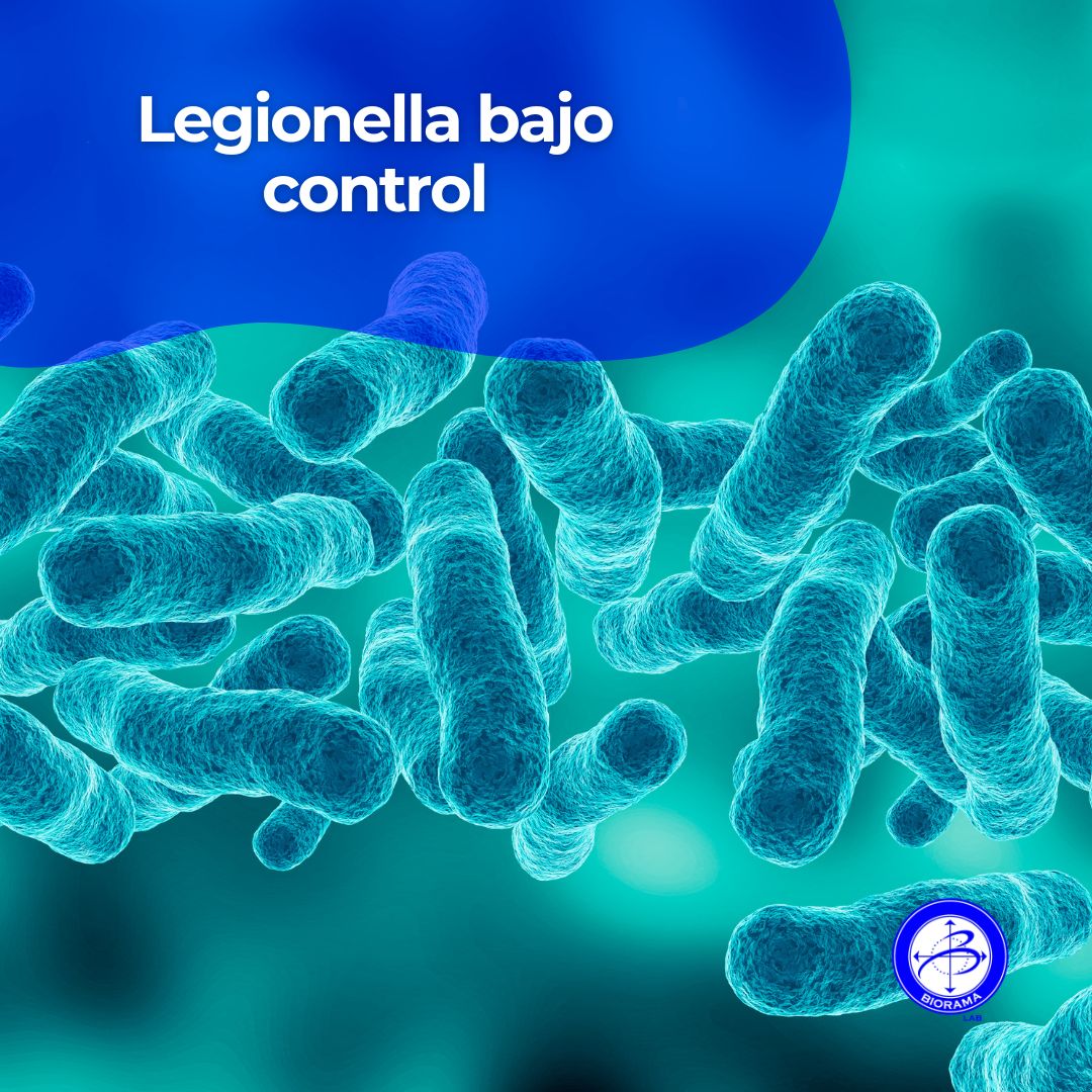 🦠 La Legionella puede estar en tu instalación de agua sin que lo sepas.
La detectamos con análisis acreditados.
🖥 bioramalab.es
#Legionella #Biorama