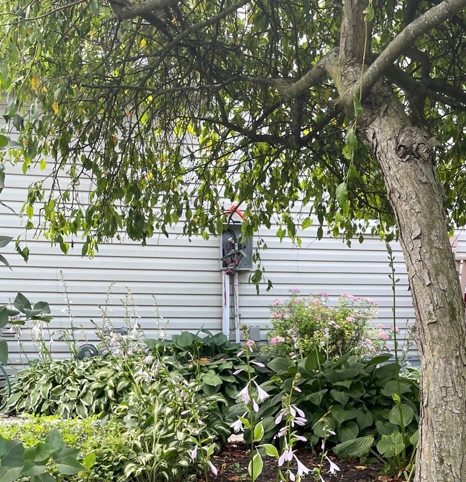 🚨 This meter should NOT look like that! Tampering with utility equipment is extremely dangerous—and illegal. ⚠️ Damaged or altered equipment puts everyone at risk, including you and our team.

#UtilitySafety #TamperingIsDangerous #RespectTheMeter #CommunitySafety