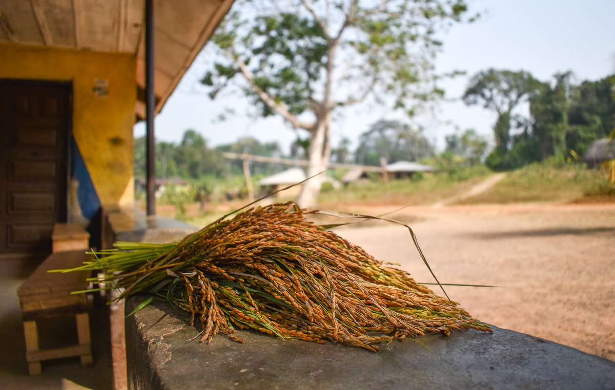 One Village Partners tweet media