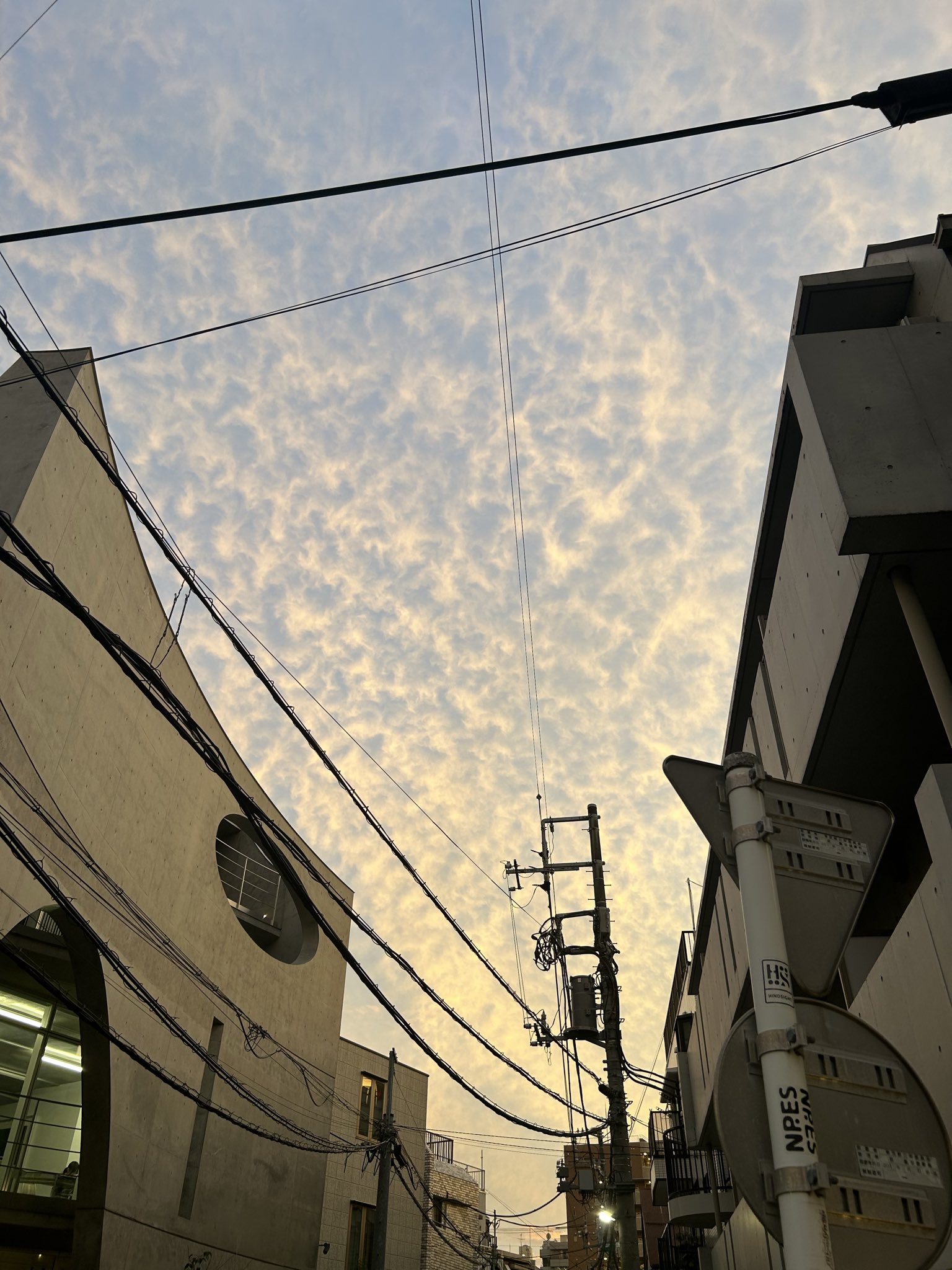 かずぴ🐊🍥(ex.ぴぃ🐊🍥鍵無し😆) (@kazPi2222) / X