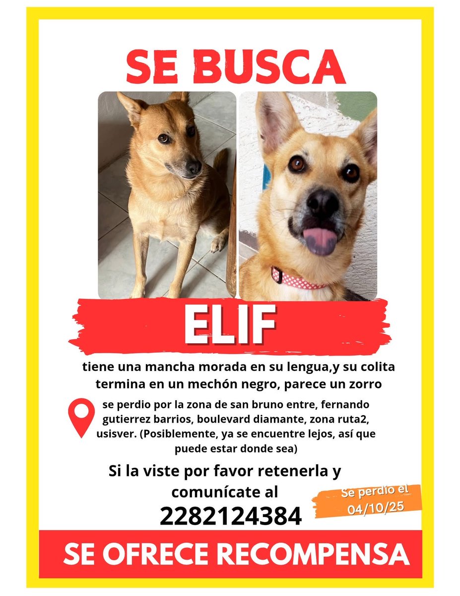 RT🐶
<a href="/mayteponm/">Mayte P.</a> <a href="/mageba04/">Gina alarcon</a> <a href="/Corintiacruz/">Corintia Cruz Oregón</a> <a href="/VialidadXalapa/">Vialidad Xalapa 🚦 VX 🌎</a> <a href="/AbelMucino/">Abel Muciño</a> <a href="/tierraverde1943/">ℓια ₊˚.༄ *ﾟ🌱</a> <a href="/pilykuera/">Pily Peregrina</a> <a href="/CECILLIA36/">CECILIA MENDEZ</a> <a href="/sara_juarez/">saraliz</a> <a href="/Ydlan/">Naldy Patricia</a> <a href="/fherciencias/">Soy Fher!</a> <a href="/camellinlove/">Porque soy xalapeño</a> <a href="/ArrezEdda/">Edda Arrez</a> <a href="/PopColorsXal/">PopCX</a> <a href="/RoxanaAAT/">Feto de PicaFresa🍓</a> <a href="/penelopemoncayo/">Penélope Moncayo.</a> <a href="/Zapatito_Azul/">Yuria Eldia Reyes</a> <a href="/sandysiux/">Sandy Colunga</a> <a href="/rociosaiz/">Rocio Saiz</a> <a href="/Pechmed/">Peter Tweet</a> <a href="/marinavera100/">Marina Vera</a> #Xalapa