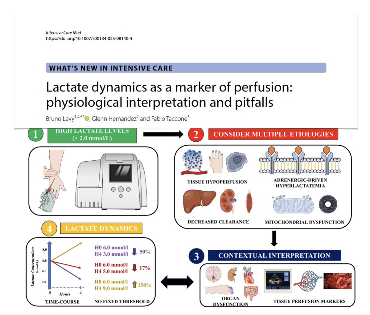 FOAMecmo's tweet image. Blood lactate concentration &amp;amp; dynamics as marker of perfusion: 
💨  beyond hypoxia &amp;amp; anaerobic glycolysis: complex interplay between perfusion, metabolism, organ function, neurohormonal stress
🖥️ dynamic monitoring + trend analysis improve prognostic/diagnostic value
🩸 lactate…