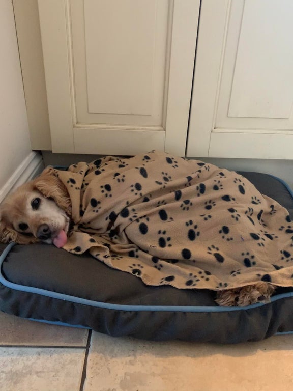 Dalbodog's tweet image. &quot;Angela will be 16 on March 5th and is very exited to be alive everyday&quot;
