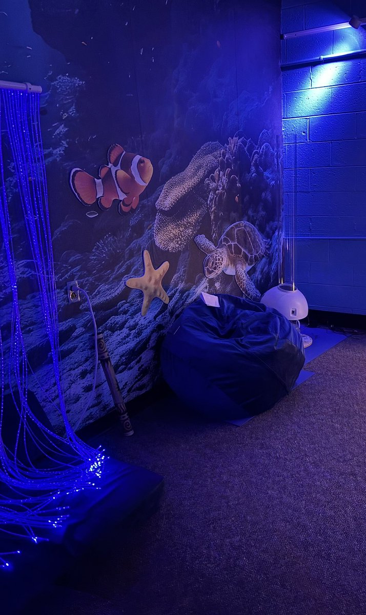 cmurpl's tweet image. All the modifications have been completed in our Multi-Sensory Room used as a lab for our Rec Therapy &amp;amp; Rehab &amp;amp; DB Central programs! Paint, blackout shade, lighting, furniture &amp;amp; an new interactive floor display with 100s of options! 🔥👆🐠🪼🐙 @cmuniversity @cmuehs @cmualumni