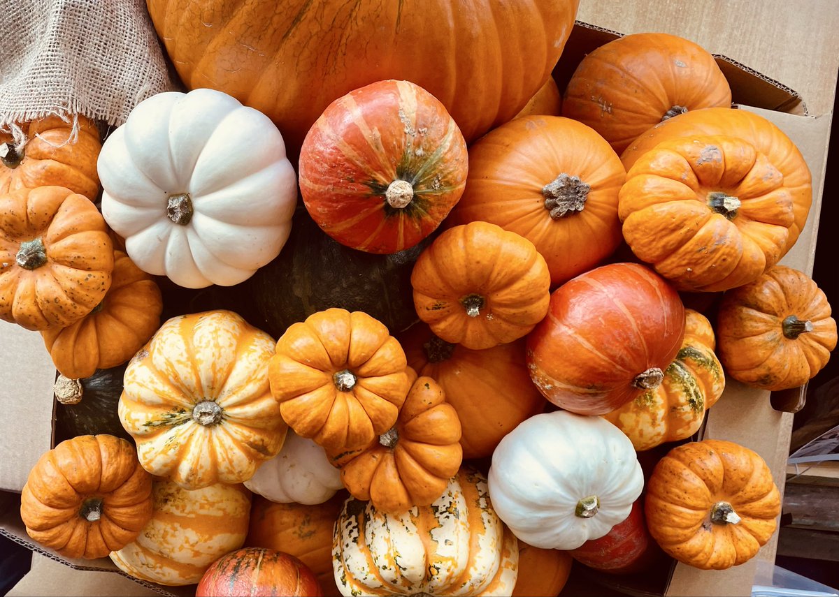 Can’t wait to start seasonal drawing next week with years 7, 8 &amp; 9. Thank you to the Wilkinsons for donating <a href="/bowbrookhouse/">BowbrookHouseSchool</a> <a href="/HeadmasterBBHS/">HeadmasterBBHS</a>