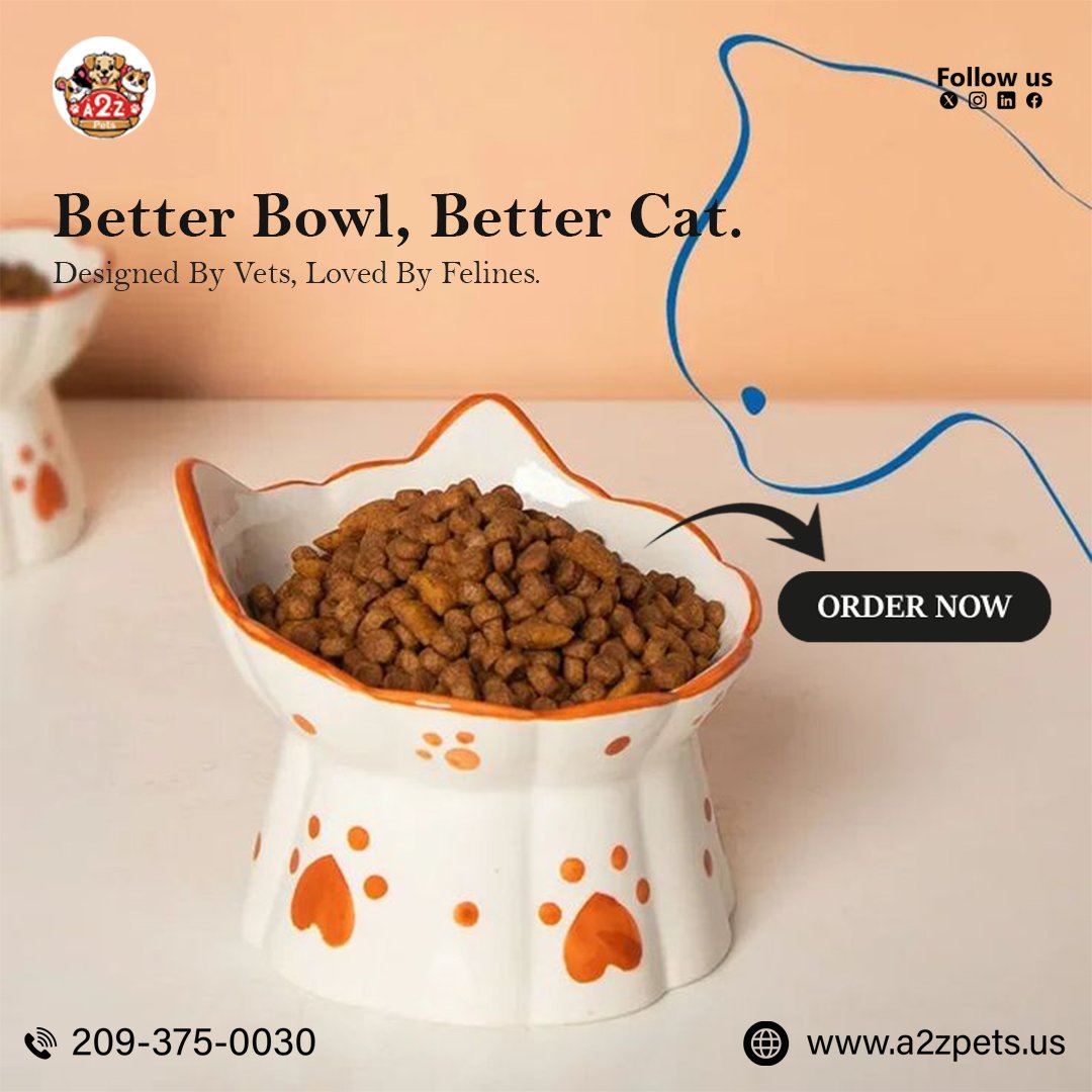 a2z_supplies's tweet photo. Upgrade your cat's dining experience with a clean, perfectly sized cat food bowl. Keeps their food fresh and their whiskers happy!

#CatFoodBowl #MealTime #HappyCat #HealthyCat #PetSupplies #CatEssentials #CleanEating #CatLife #Meow #CatLover https://t.co/XCu97lj1ad