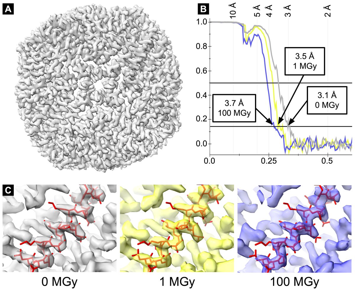 Korkhov Lab tweet media