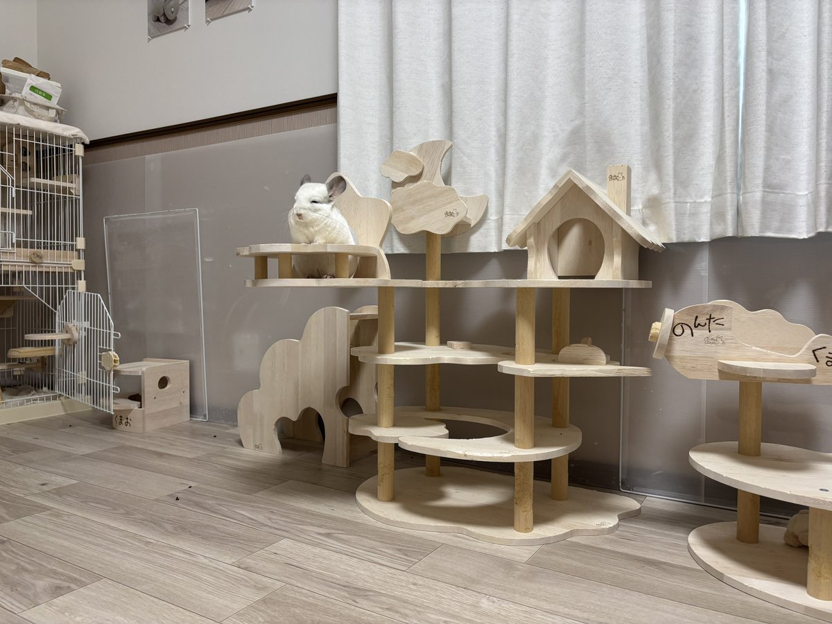 くまお くまおのままお (@neko_no_hanatan) / Posts / X