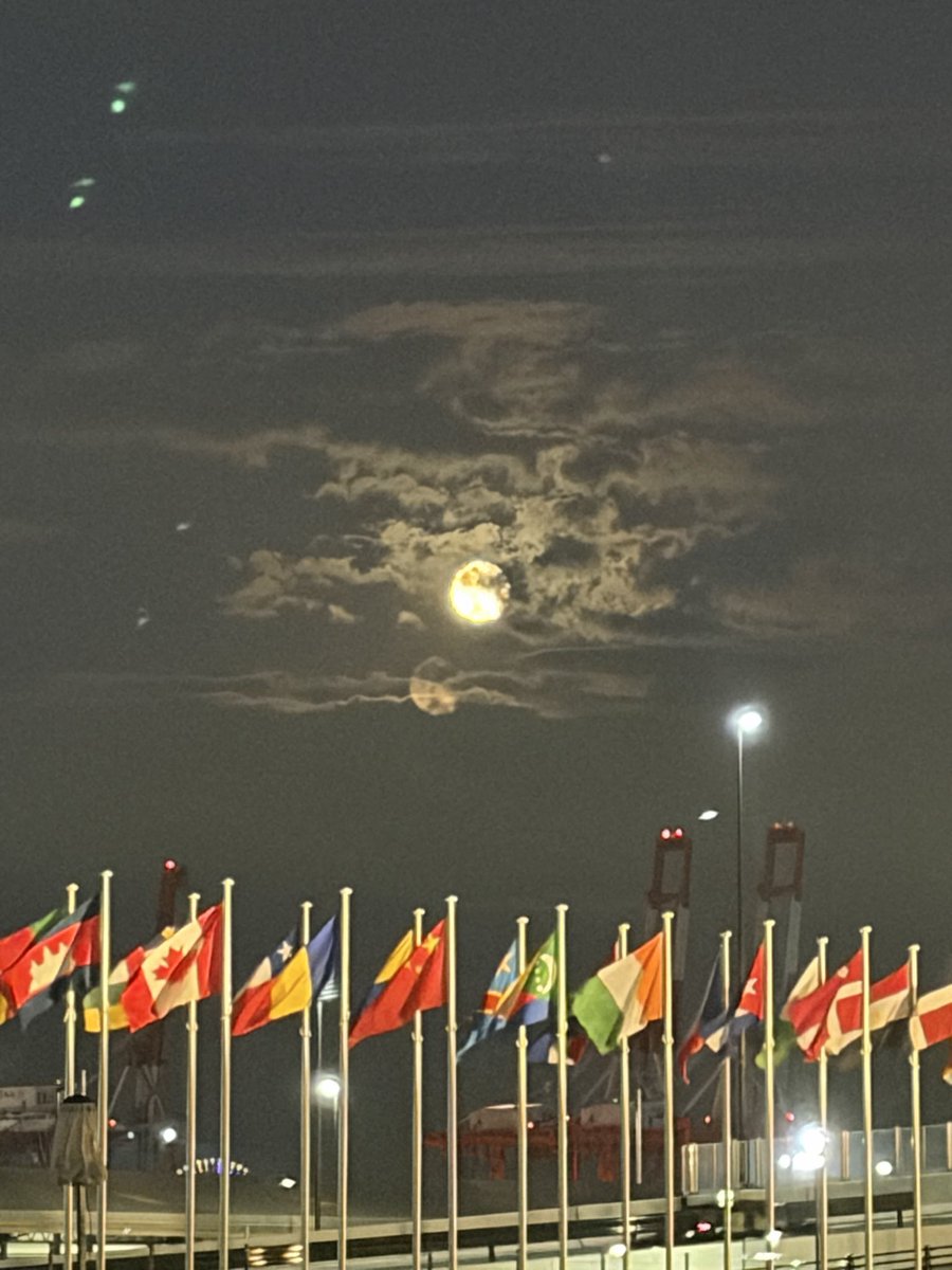 pokogamanabu's tweet photo. @Stepnofficial #STEPNMOON
Walking through the Osaka-Kansai Expo during the Mid-Autumn Festival. The temperature has dropped, making it very comfortable! https://t.co/U0j3Q7aS8u