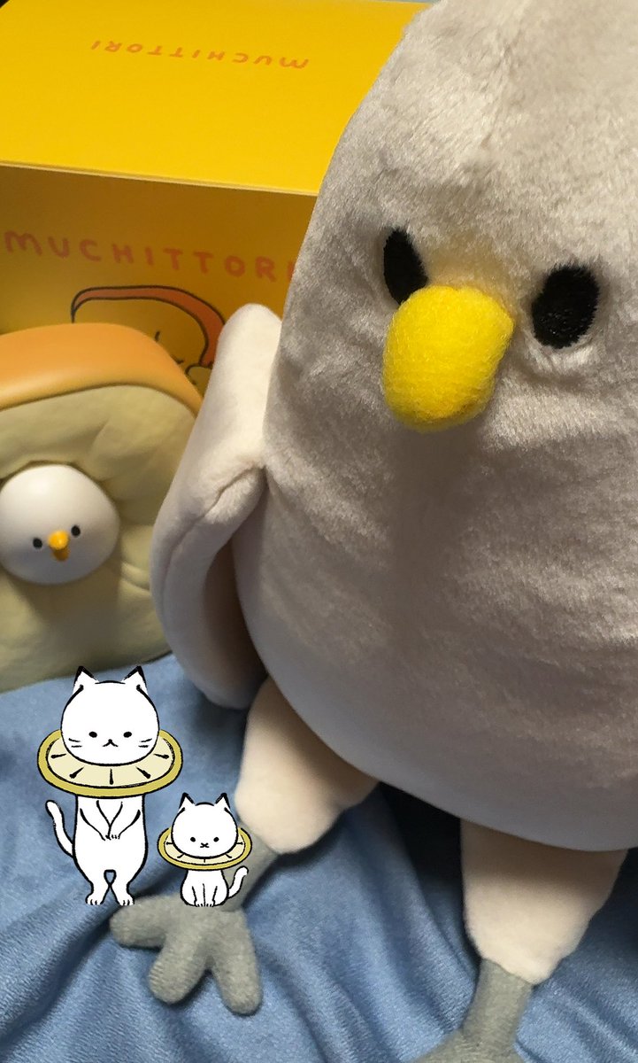 namimonechan2's tweet image. むちっ鳥さんと共演してみた😌
#れもねことお出かけ
#上白石萌音
#lemonedo
#shigemi
#むちっ鳥