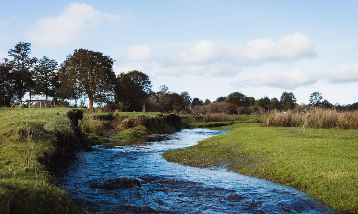 Rodrigo Wainraihgt Galilea tweet media