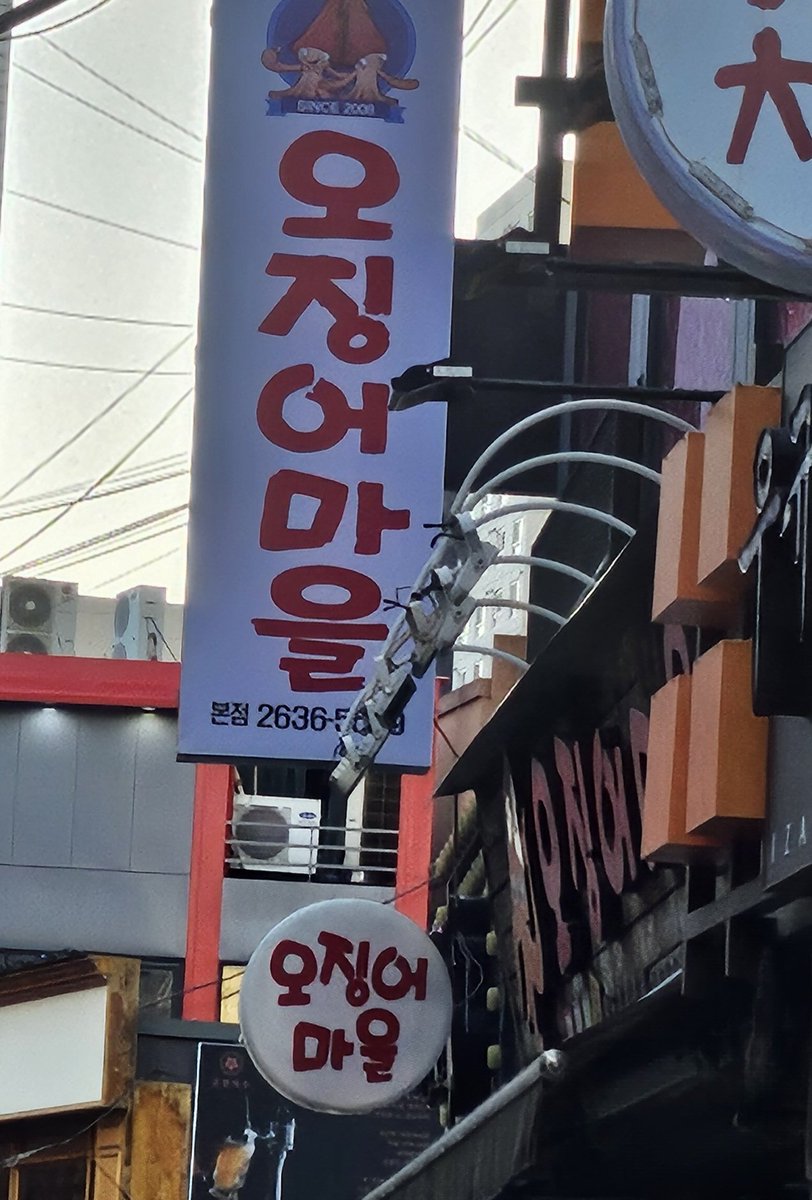 오늘도 하네스 가욤