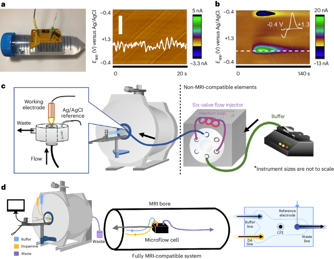 NatureProtocols's tweet image. New Article! Measurement of electrochemical brain activity with fast-scan cyclic voltammetry during functional magnetic resonance imaging bit.ly/46TsrXS