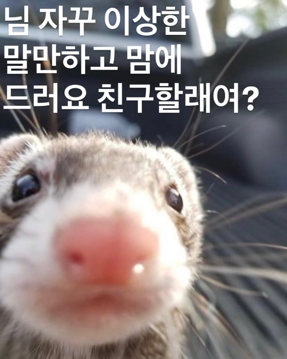 #일상계𝕏친소  #맘눌뎀
틧터에 올렸다 지운사진 모아봄 
근데 구도가 왜 다 똑같냐..