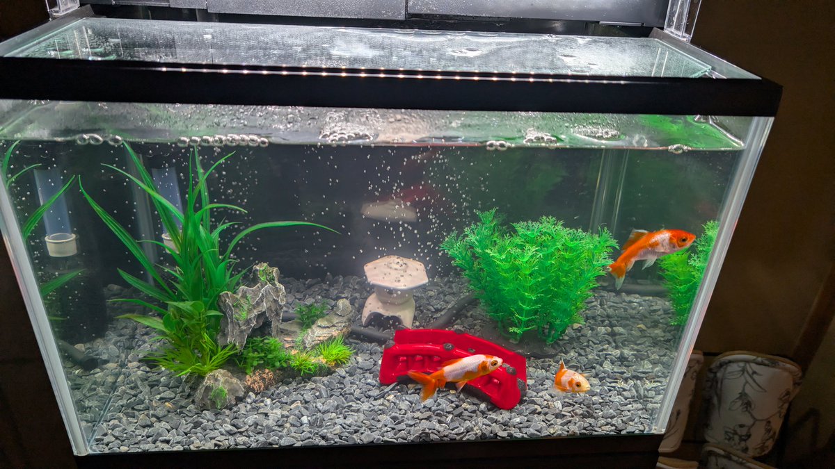 はらきちまる on X