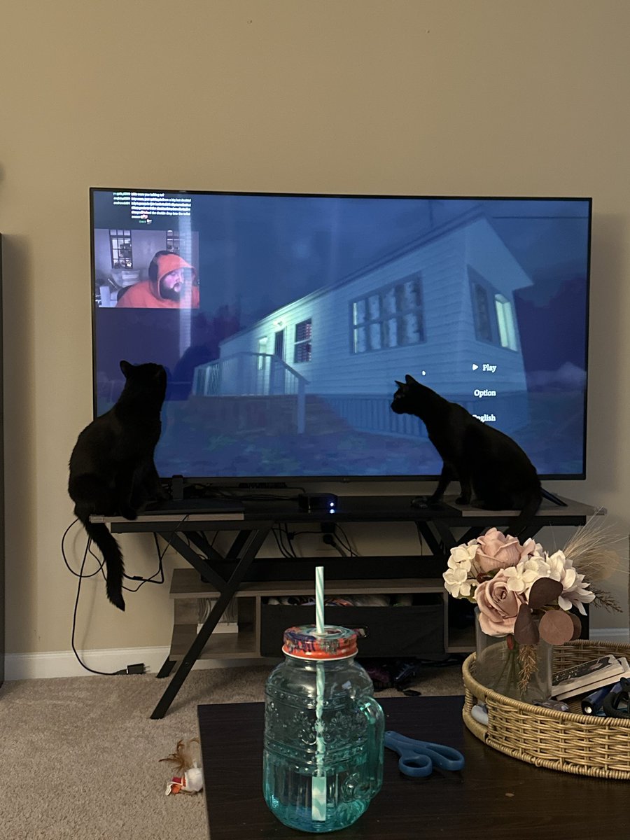 lushstarera's tweet photo. All the void kitties love Caseoh!
@caseohs_mom @CaseOh__ #caseohgames #caseoh https://t.co/iyZey5SUyH