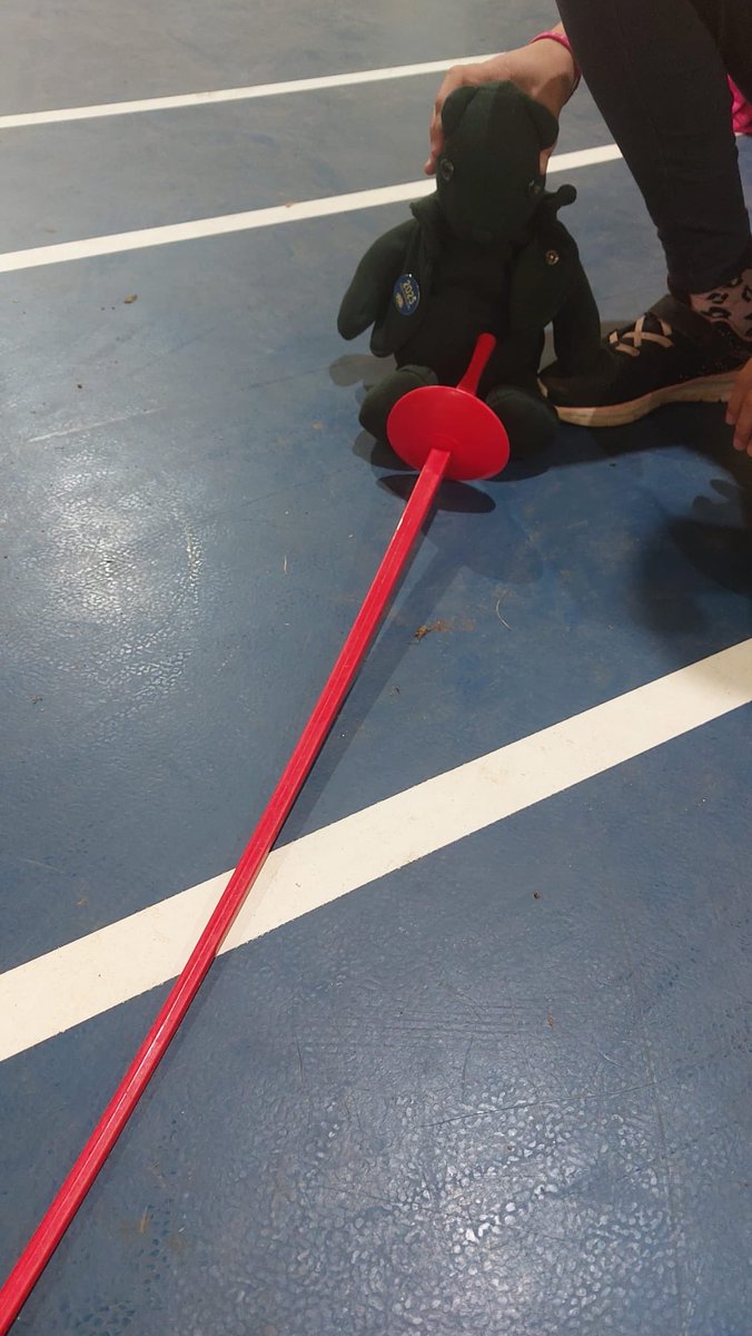 Year6SpaldingP1's tweet photo. En garde! Hycamore at it again with the foils! @SpaldingPriAcad https://t.co/NFSQO3IeL3