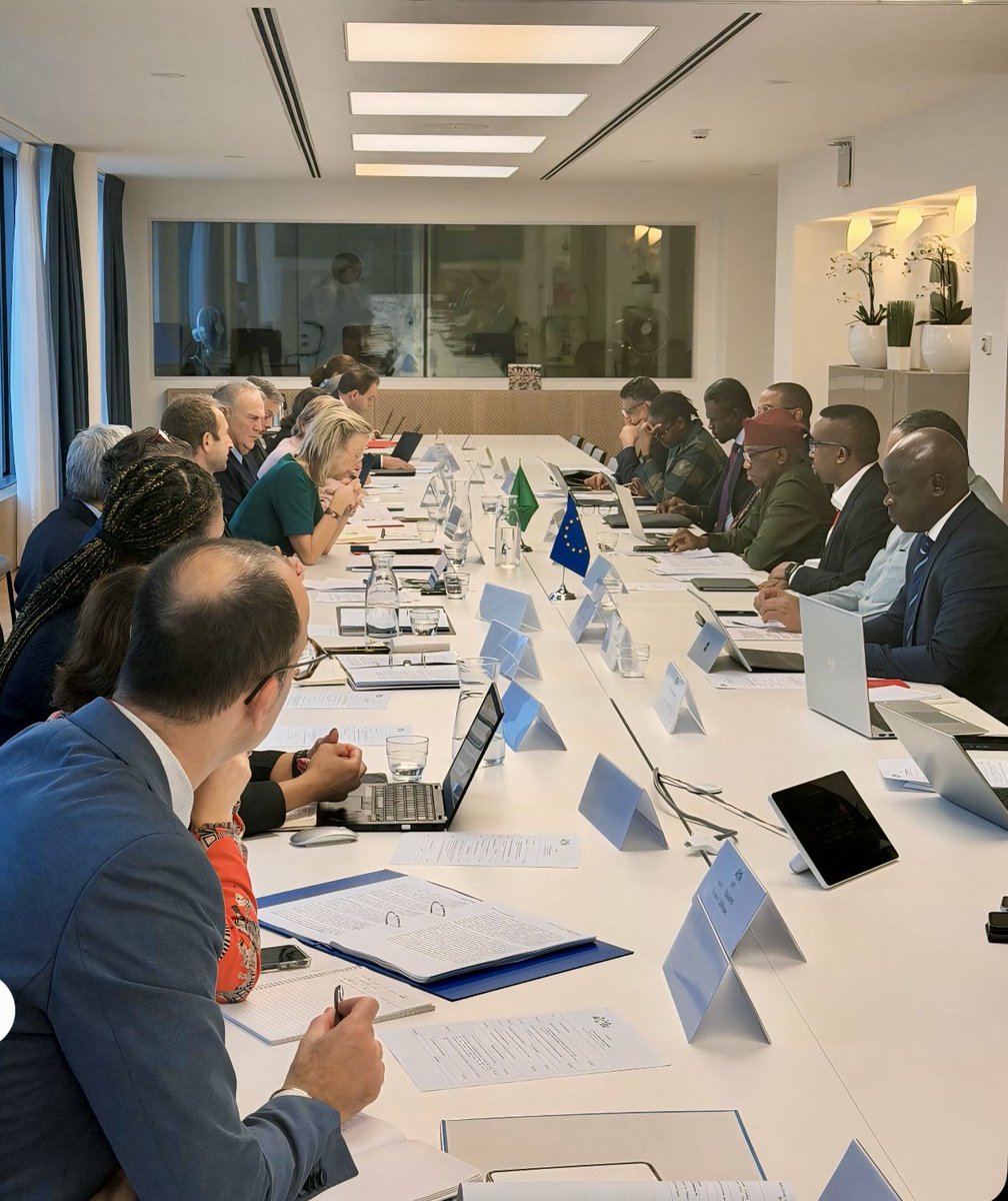 OmarFarukOsman's tweet photo. The successfully concluded AU–EU Human Rights Dialogue, co-chaired by H.E. Ambassador @Bankole_Adeoye, African Union Commissioner for Political Affairs, Peace and Security, and H.E. @KajsaOllongren, EU Special Representative for Human Rights, provided an important platform where we, as civil society representatives, were able to make our mark in highlighting pressing human rights concerns.

Through this sustained, engaging and constructive dialogue, we raised cases of violations, the shrinking of civic space, the spread of disinformation and misinformation, the undermining of human rights institutions and campaigns aimed at discrediting human rights defenders. #AUEU25