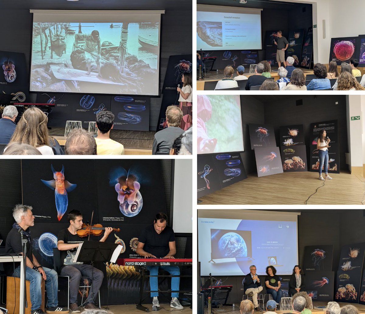 E assim foi a edição BlueNIGHTs Torreira 2025, a celebrar a Noite Europeia dos Investigadores fora de portas... um dia cheio de atividades, partilha e emoções! Obrigada a todos os participantes e visitantes! #bluenightstorreira #EuropeanResearchersNight <a href="/UnivAveiro/">Universidade Aveiro</a>