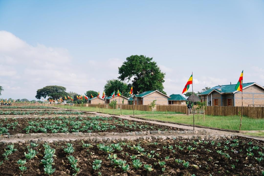 adugn43904's tweet image. The main goal of the #CorridorProject is to transform the lifestyle of our farmers by creating model villages with access to clean water, health centers, schools, and electricity; one village at a time to ensuring inclusive rural development across Ethiopia. #EthiopianVillage