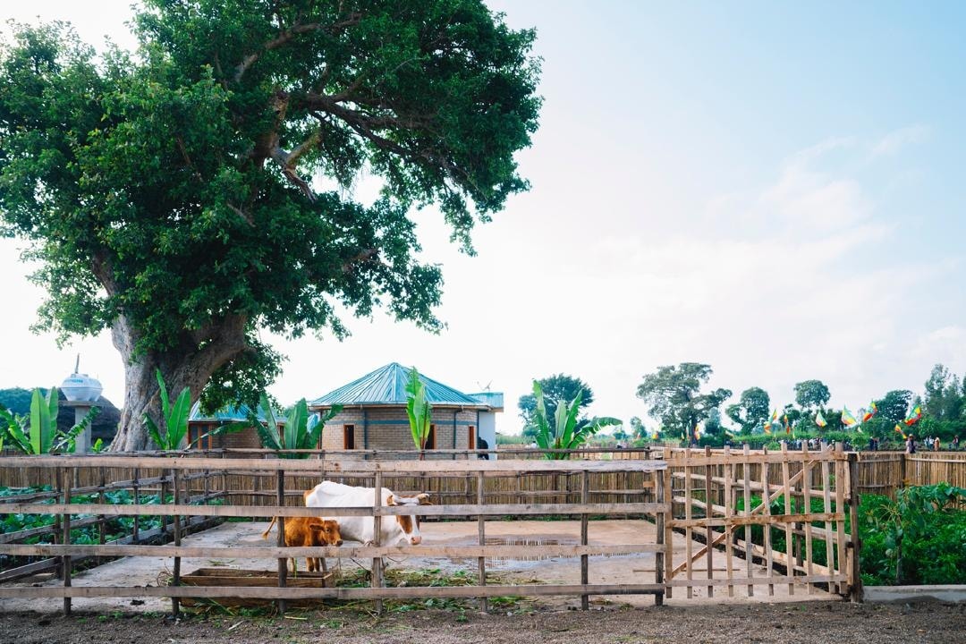 adugn43904's tweet image. The main goal of the #CorridorProject is to transform the lifestyle of our farmers by creating model villages with access to clean water, health centers, schools, and electricity; one village at a time to ensuring inclusive rural development across Ethiopia. #EthiopianVillage