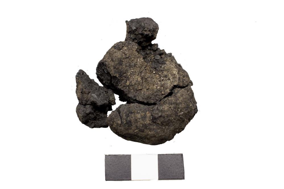 darkwebhaber's tweet photo. Çatalhöyük'te 8.600 yıllık ekmek bulundu. https://t.co/BAGY2pMKGM