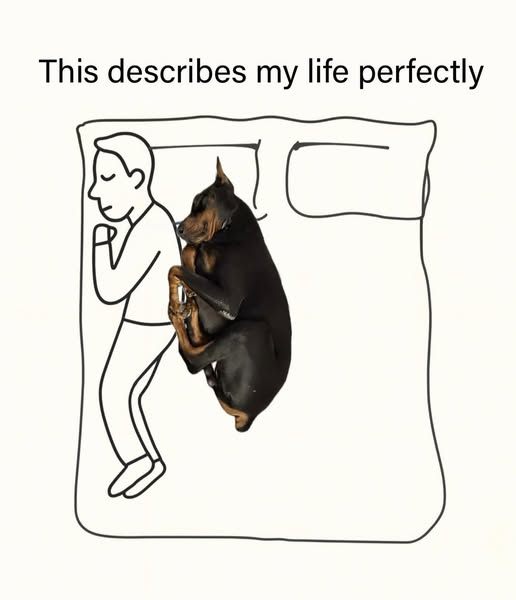 and I love it ❤️🐶