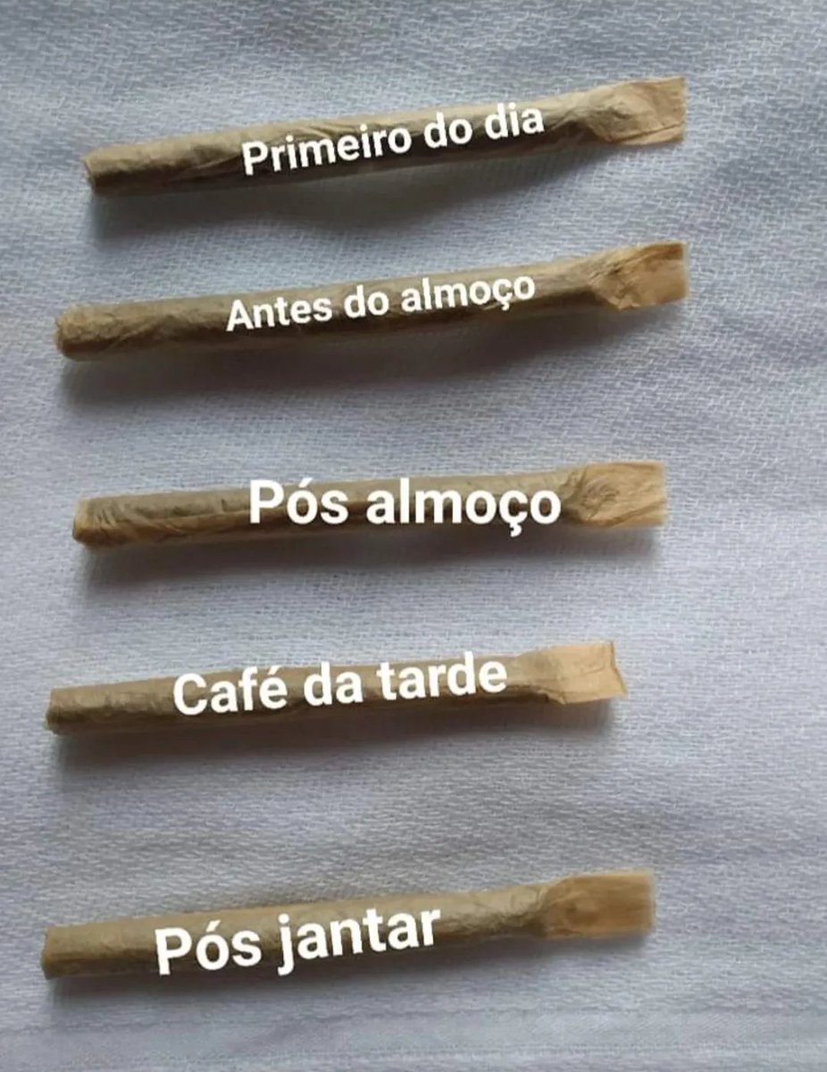 SPACECANNABIS's tweet photo. Organizando o dia https://t.co/DDnQWtHCHu