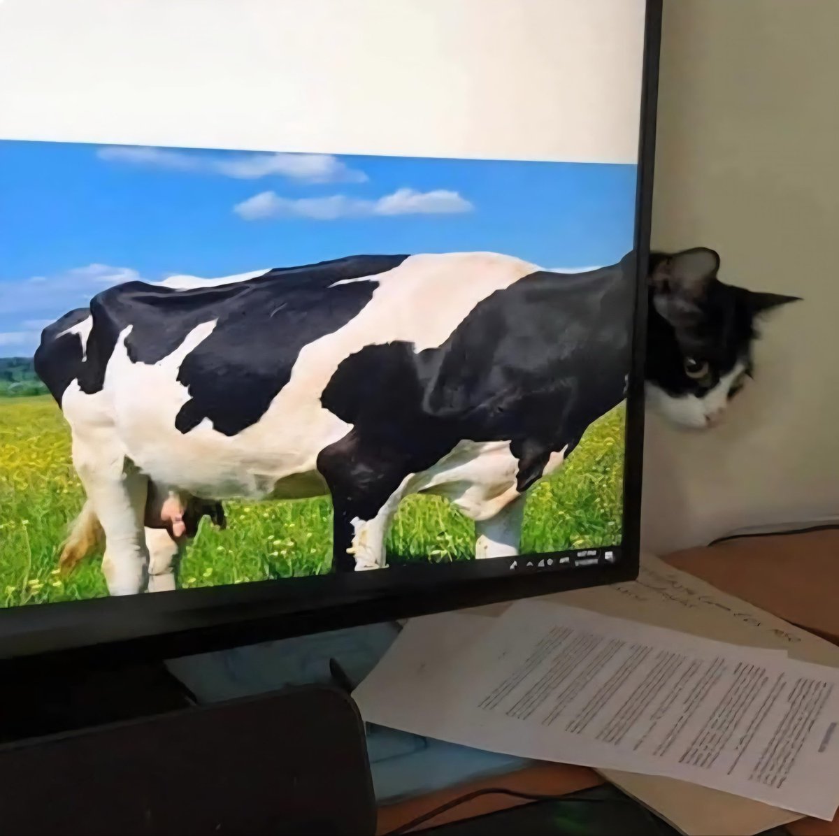 ジョン・ゼロ@Skeb募集中 tweet media