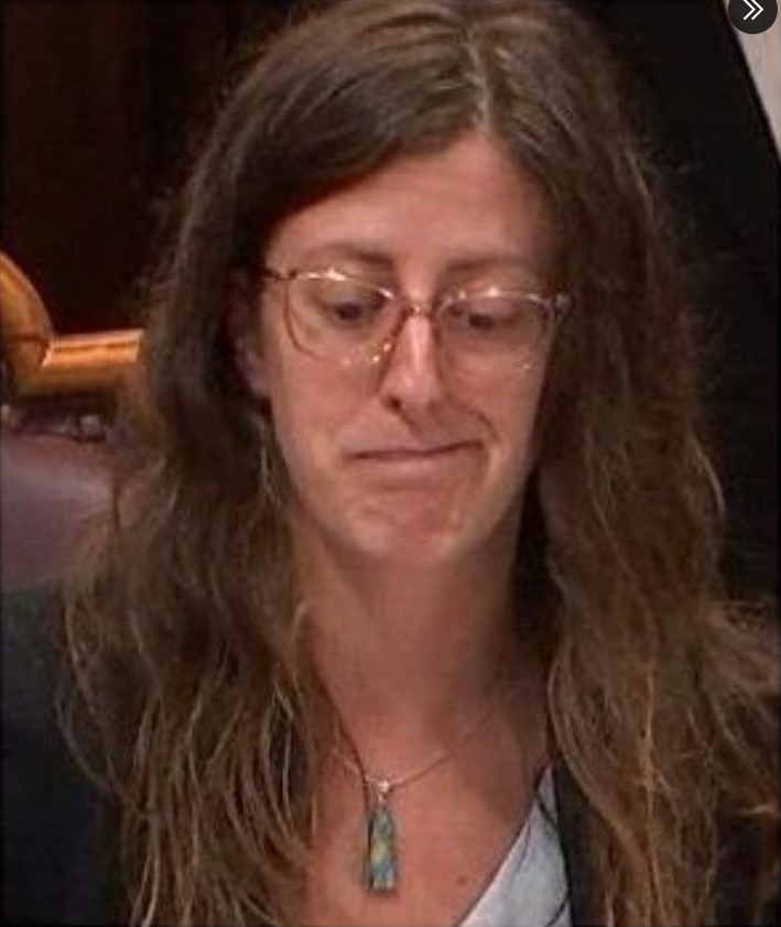 joshryanjames's tweet image. Mark Carney&apos;s &quot;Secretary of State for Seniors&quot; won’t say how many cabinet meetings she’s attended since her appointment May 13.  Stephanie McLean also declined comment under questioning by the Senate on what her salary, office budget, or what her core duties are.