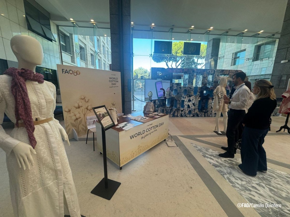 📢El proyecto +Algodón de <a href="/FAOBrasilCoop/">CooperaciónBrasilFAO</a>  estuvo presente en la conmemoración del #DíaMundialdelAlgodón en la sede de la <a href="/FAO/">Food and Agriculture Organization</a> en Roma🇮🇹
📌En el espacio  del proyecto, se presentó uno de los looks de su colección de prendas👗 "América Latina se viste de algodón".
