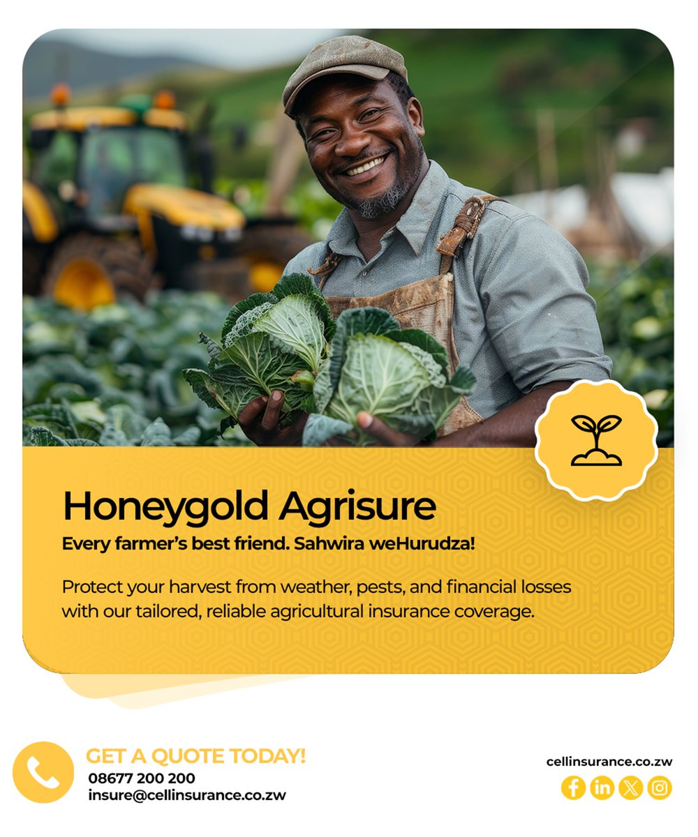 CellInsurance1's tweet image. Protect your harvest from weather, pests, and financial losses with our tailored, reliable agricultural insurance coverage.
GET A QUOTE TODAY!
 📞 08677 200 200
 ✉️ insure@cellinsurance.co.zw
#CellInsurance #HoneygoldAgrisure #SahwiraWeHurudza