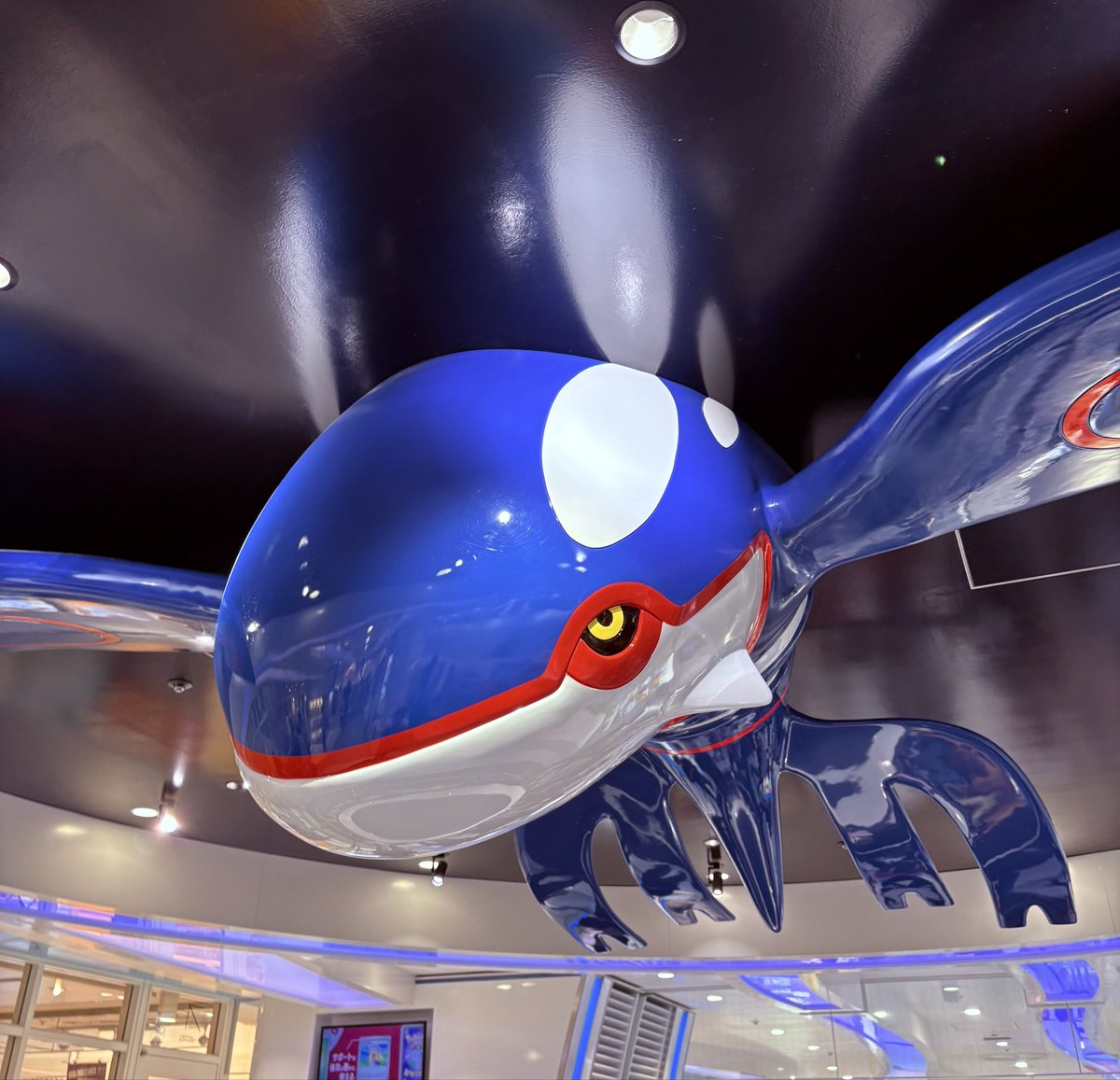 meron384's tweet photo. 仕事終わりに久しぶりのポケセン❗️👍

#ポケモンセンター
#ポケモンセンターヨコハマ
#カイオーガ https://t.co/HyzBQouzh1