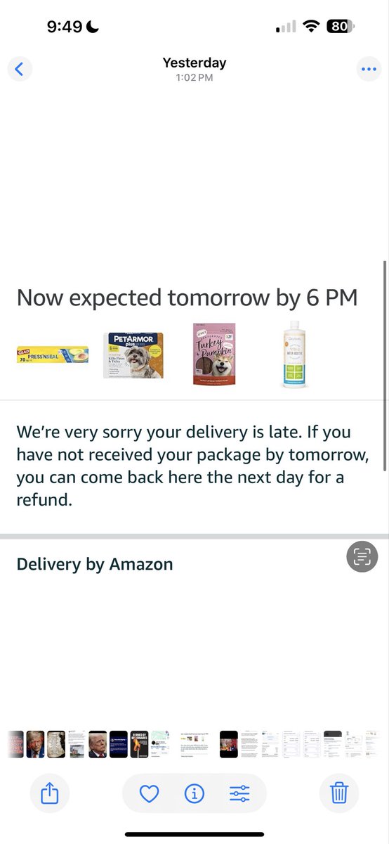 Pugophile's tweet photo. #PrimeScam JUST SHIP IT. Overnight was due Monday at 8 am Four days of GASLIGHTING.#PrimeDeception FAIRBURN, GEORGIA https://t.co/9UWVbTbC5Z