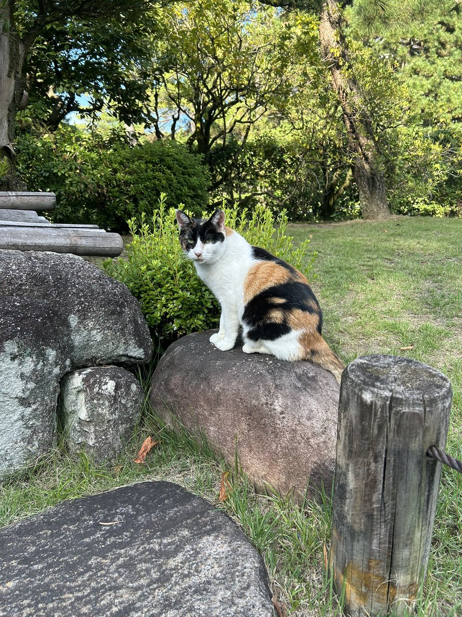 4 days ⭐️ Yasaka Shrine &amp; Chionin Temple

I woke up today feeling absolutely exhausted so this was a short one