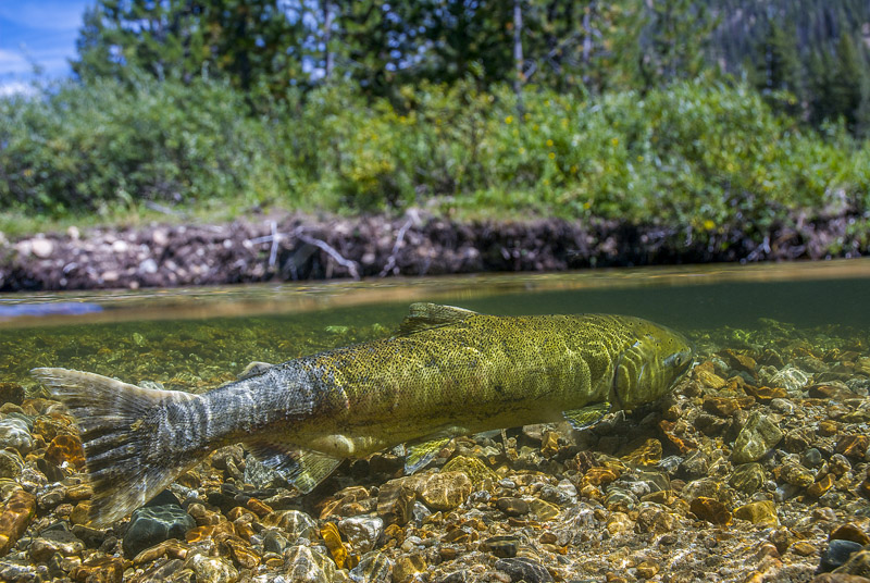 Neil Ever Osborne tweet media