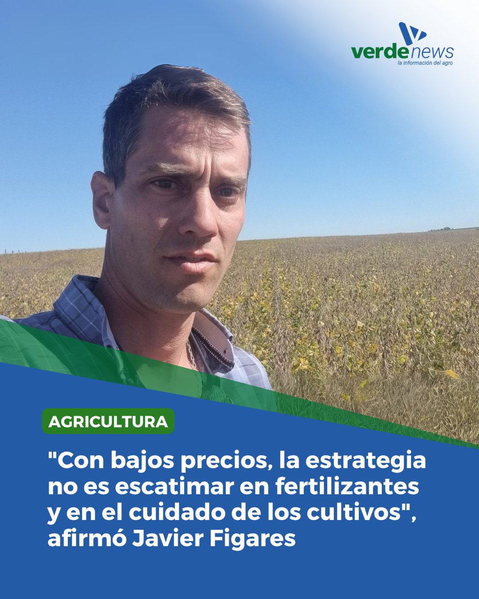 verdemediauy's tweet photo. “Estamos en un momento desafiante para la agricultura” por los bajos precios, si bien la colza es la que tiene los valores “más atractivos” ubicándose entre “US$ 480 y US$ 500” la tonelada, dijo el productor agrícola Javier Figares, en el programa @PdE_Carve en @carve850 y en https://t.co/0naKQREAYs. [...]

👉 Lea y escuche la nota completa
https://t.co/u0DVj8jznq