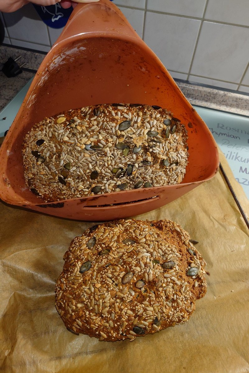 Brot bzw. Brote sind fertig. 😋