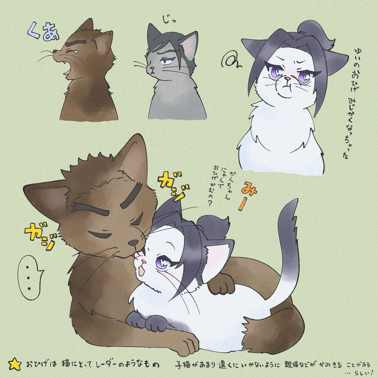 アラハル (@8BbOqGRtM545644) / Posts / X