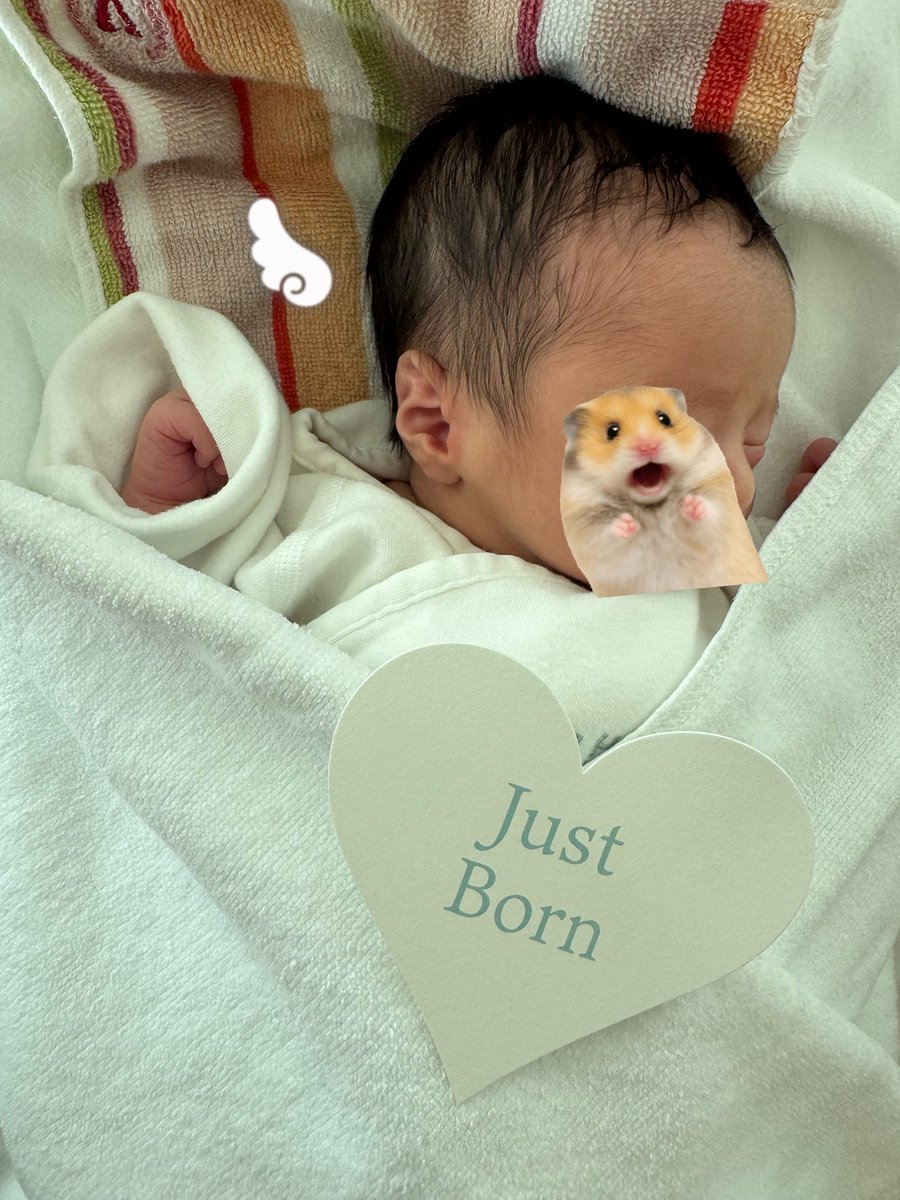 まりん tweet media