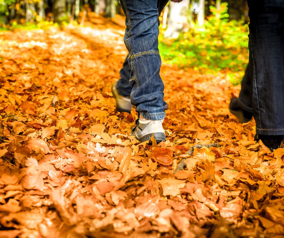 🍂🍁Wandelen in het najaar – misschien wel de mooiste tijd van het jaar

De zomerdrukte is weg, de natuur kleurt goud, rood en oranje, en elk pad knispert onder je voeten. Wandelen in de herfst is genieten van frisse lucht, rust en een landschap dat met de dag verandert.