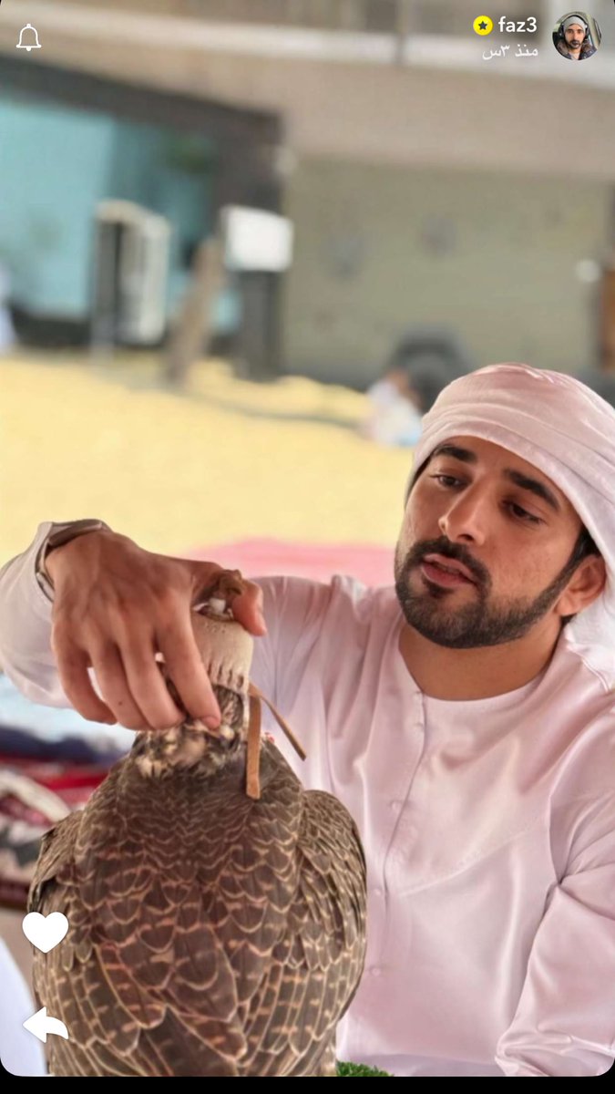 ثامر النعيم (@thamer_alnaeim) on Twitter photo مافيه يمنى فارقه بالكرم غير
يمناك ياللي مدتك تشفي لوجاع 
والحر بالصوره ترا ماهو الطير
الحر بالصوره هو الشيخ فزاع
ثامر النعيم
#حمدان_بن_محمد 
<a href="/HamdanMohammed/">Hamdan bin Mohammed</a> مافيه يمنى فارقه بالكرم غير
يمناك ياللي مدتك تشفي لوجاع 
والحر بالصوره ترا ماهو الطير
الحر بالصوره هو الشيخ فزاع
ثامر النعيم
#حمدان_بن_محمد 
<a href="/HamdanMohammed/">Hamdan bin Mohammed</a>