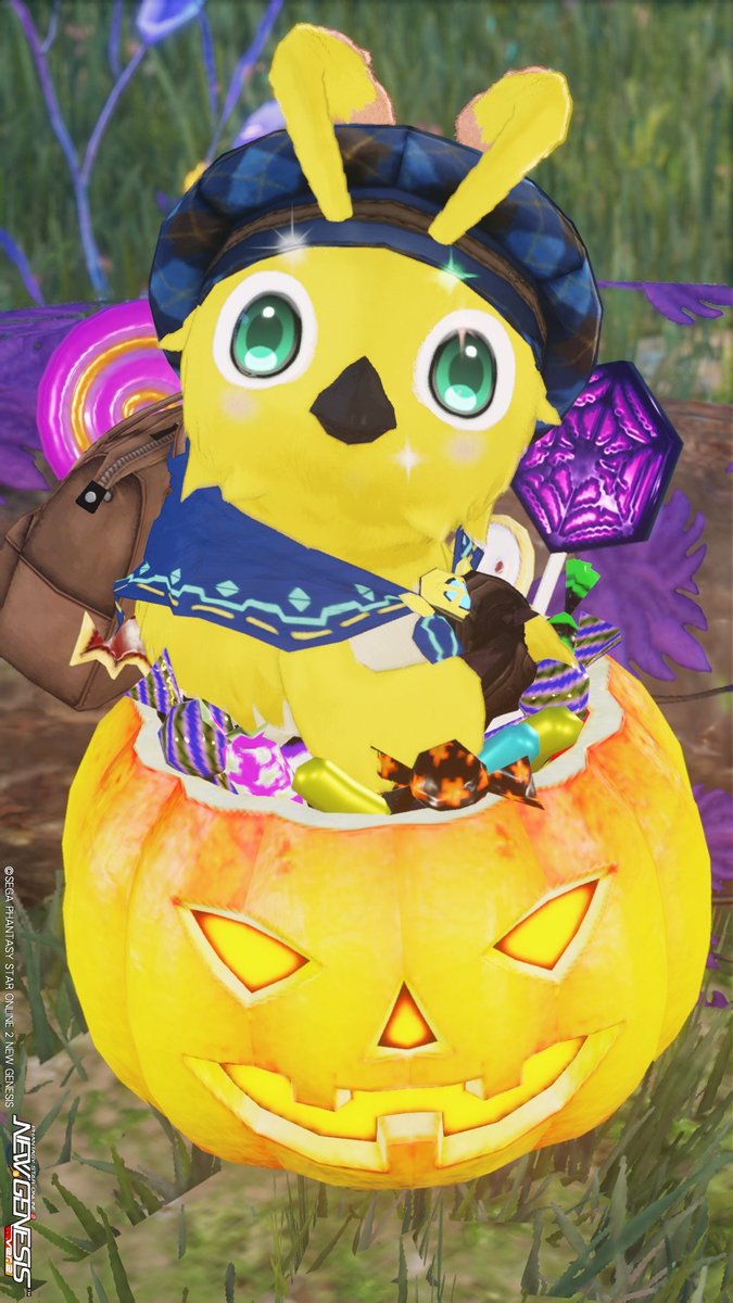 tcnt16277's tweet image. こんなにもらっていいの⁉🐥🍭🍬🍭🍬🍫 
#PSO2NGS